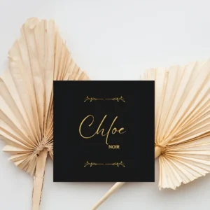 Chloe Noir logo